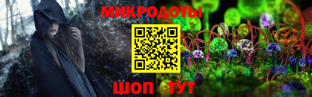 Псилоцибиновые грибы мицелий Кудымкар
